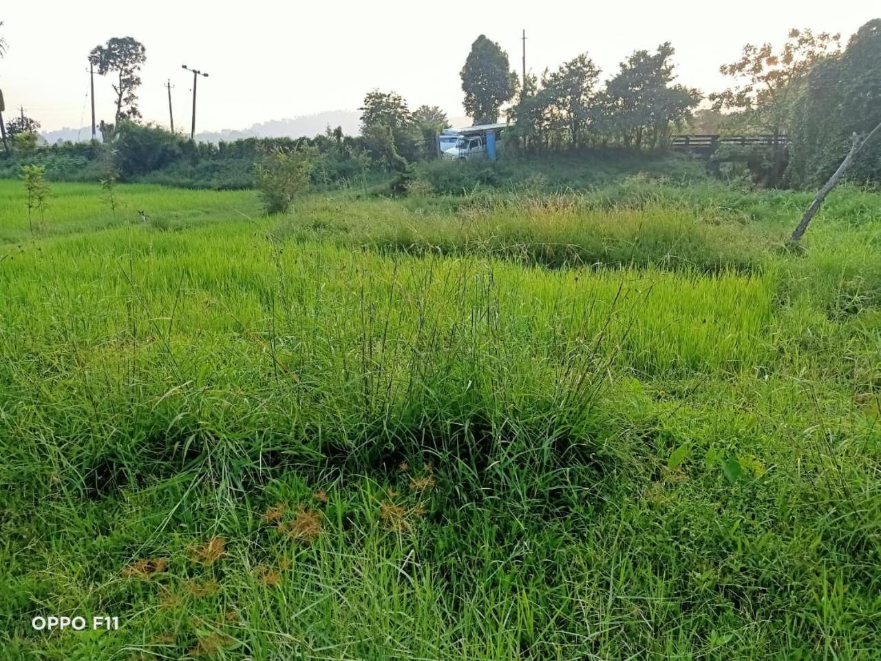 Samz Estate Stay 2Bhk Madikeri Luaran gambar