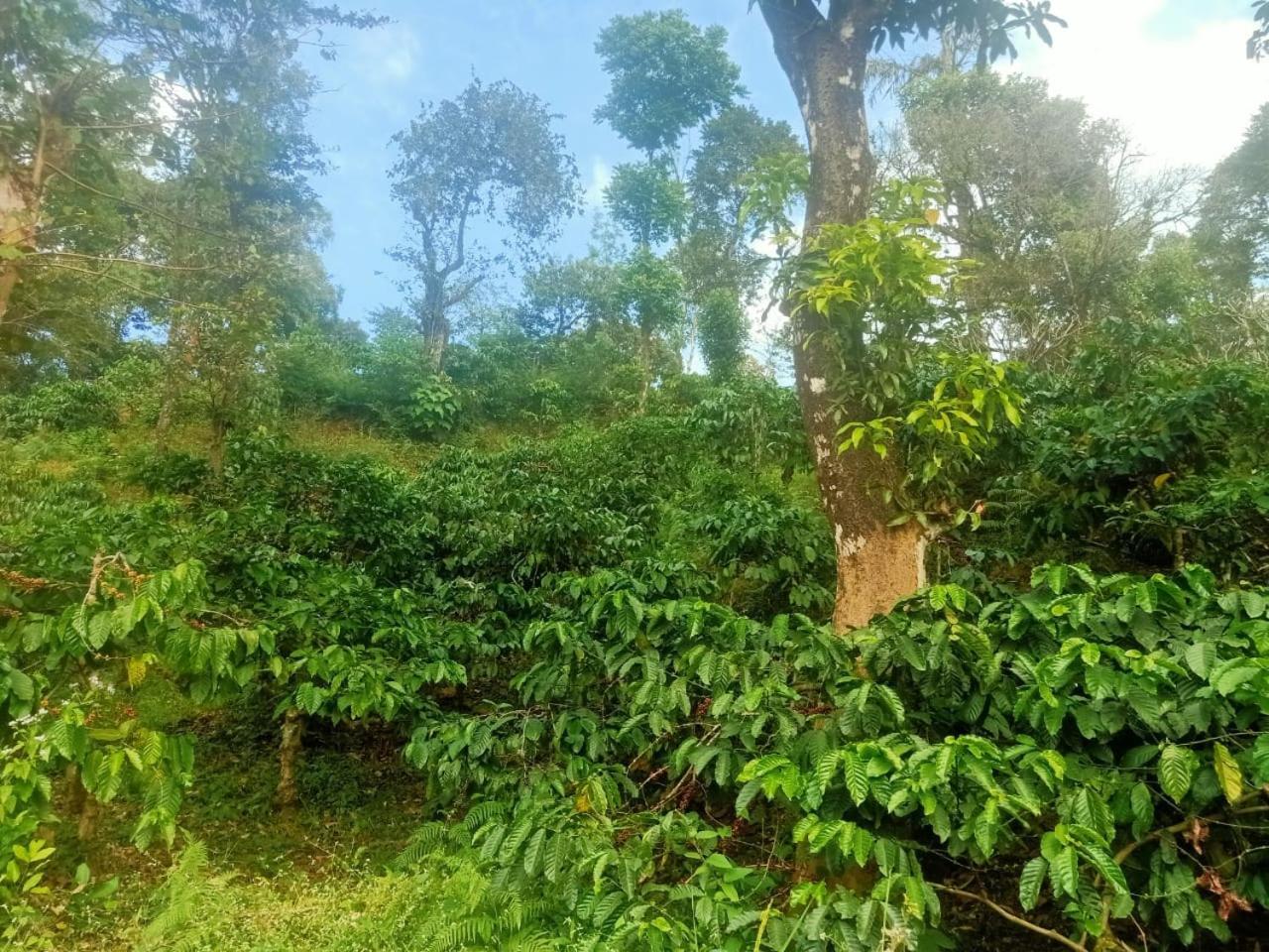 Samz Estate Stay 2Bhk Madikeri Luaran gambar